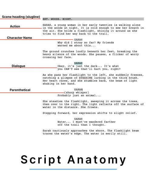 Obuola TV script writing format